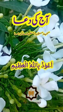 Aaj Ki Dua | Today's Powerful Islamic Prayer for Blessings and Peace | Daily Dua