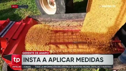 Programa Telepaís Central La Paz, Martes 14 de octubre del 2025