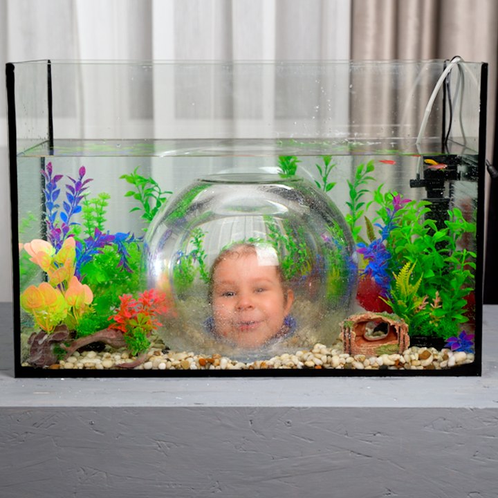 Hide a fish tank and let your kid dive into development! 🐠🐟🐡 #diy #fyp #parenting #craft #fishtank #pets