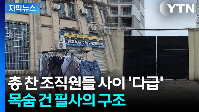 [자막뉴스] 새벽 시간 범죄단지 급습... 제발 오지 마라 전해진 현지 상황 / YTN