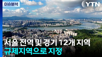 서울 전역 토허구역으로...경기 12개 시구도 포함 / YTN