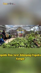 Ajak Masyarakat Tanam Pohon, Kapolda Riau: 5 Tahun Lagi Kita Berlindung di Bawahnya