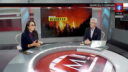 Conagua hizo alertas previas en Poza Rica ante lluvias extremas | Milenio Hábitat