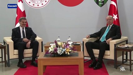 Cumhurbaşkanı Erdoğan, Gürcistan Cumhurbaşkanı Kavelaşvili ile görüştü