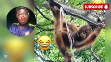 Crazy funniest videos on TikTok, don’t laugh alone prt3