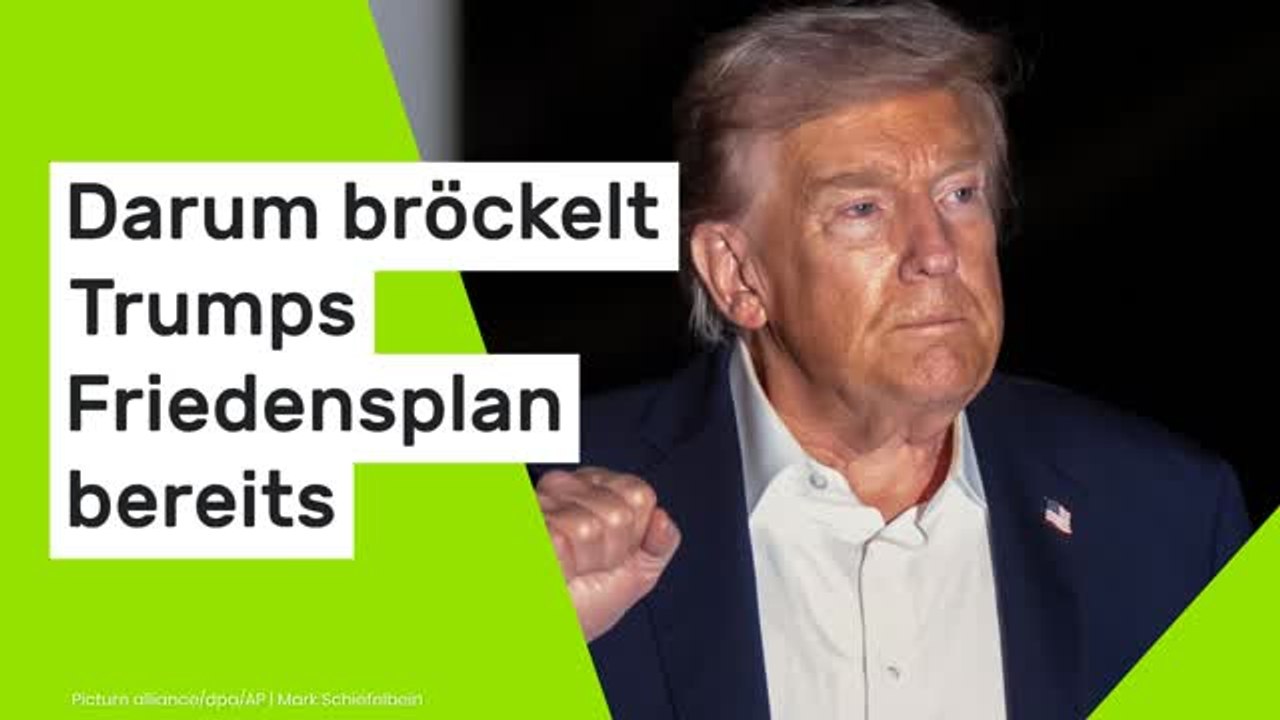 Donald Trump: "Es zeigen sich bereits Risse!" Darum bröckelt Trumps Friedensplan bereits