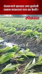 यवमतमाळच्या शेतकऱ्याने खात्यात आलेली रक्कम
