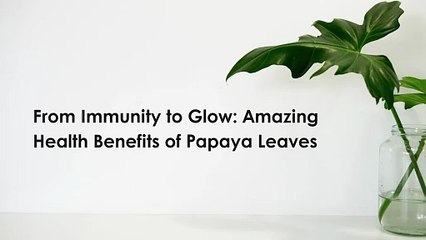 From Immunity to Glow: Amazing Health Benefits of Papaya Leaves