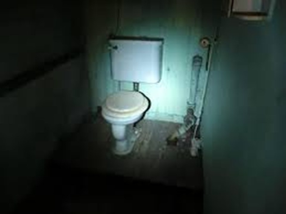 HALLOWEEN J-4 : Un THREAD HORREUR aux TOILETTES...