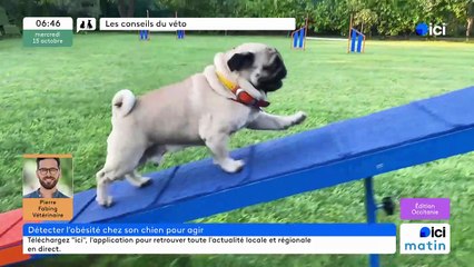 15/10/2025 - ici matin par ici Occitanie en vidéo