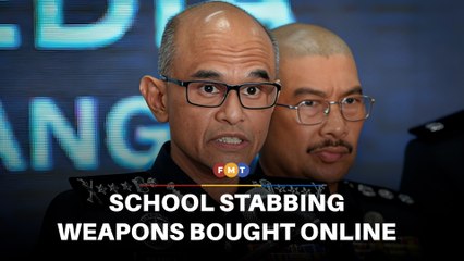 Suspect in school stabbing bought weapons online, say cops