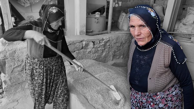 Dünya Çiftçi Kadınlar Günü: Yozgatlı kadın çiftçi maliyetlere isyan etti