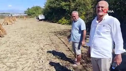 Hırsızların yeni hedefi Türkiye'nin coğrafi işaretli altını oldu: Silkilen gümülleri çalıyorlar