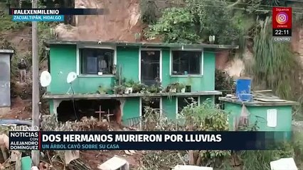 Tragedia en Hidalgo dos hermanos mueren en Zacualtipán tras la caída de un árbol por lluvias