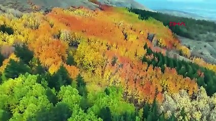 Dalıp dalıp gideceksiniz... Türkiye'nin sonbahardaki cennetinden büyüleyen manzara...