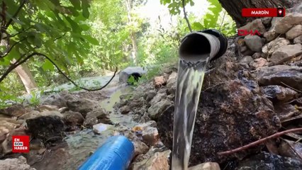 Mardin'de babasının diktiği 3 bini aşkın fidan için 'hatıra ormanı' talebi