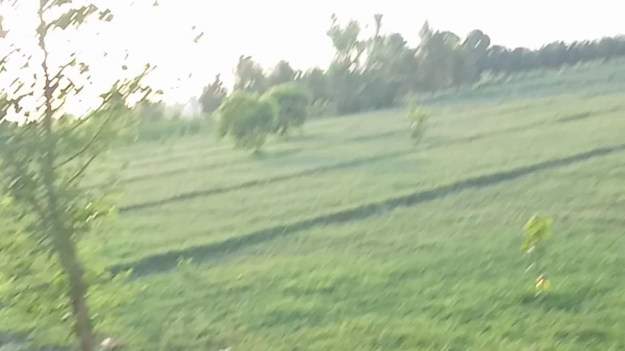 A visit to village | Part-2 | Pakistan | its mehvish