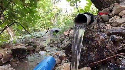 Bir şehri kaderine terk etmedi, tam 3 bin fidan dikip yemyeşil bir orman yarattı!