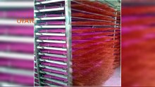 1000w 220v Infrared heat Lamp
