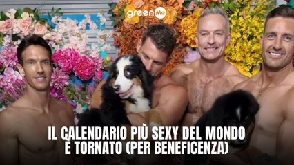 Il calendario più sexy del mondo è tornato (per beneficenza)