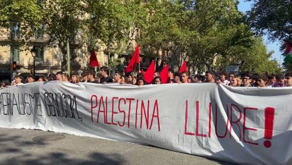 Capçalera manifestació pro-Palestina