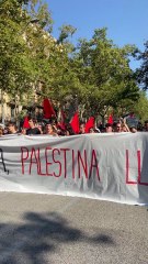 Capçalera manifestació en favor de Palestina