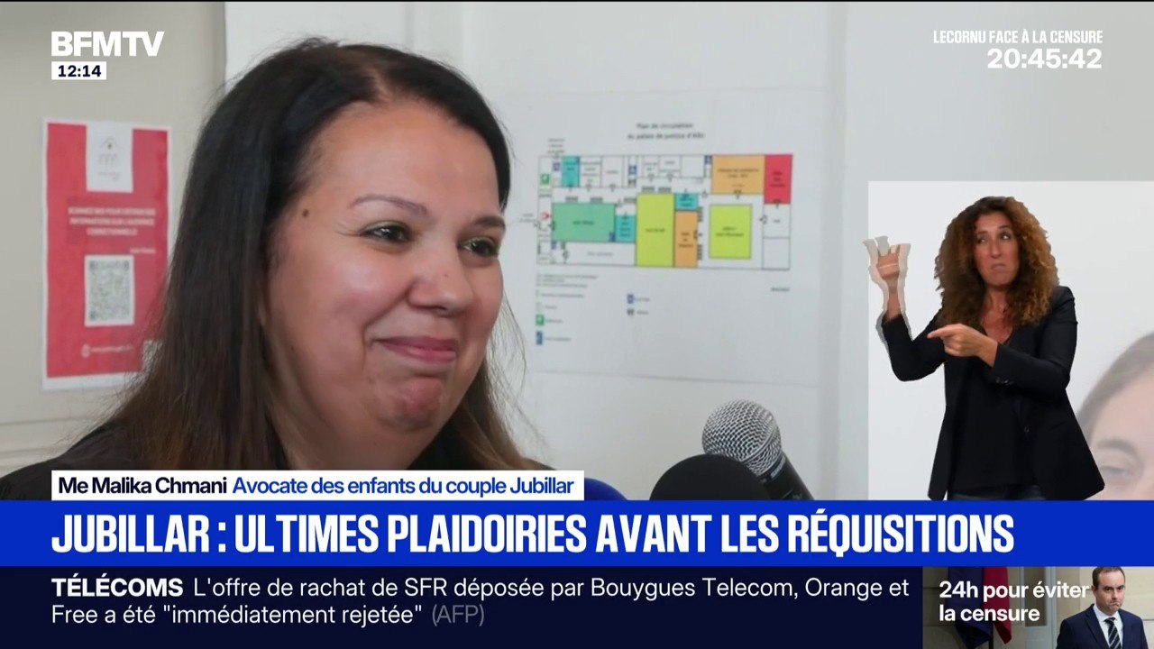 Procès Jubillar: avant les réquisitions, les avocats des enfants du couple s'expriment