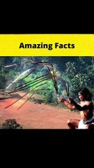 Story of Urumi  #shorts  #FactBeast - Fact Beast01