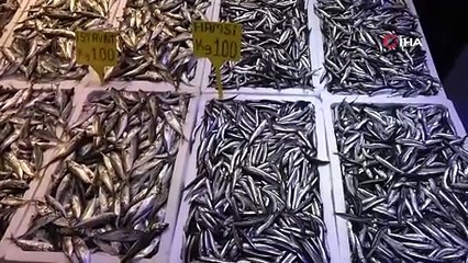 Karadeniz'in, Marmara'nın yüzen altını hamsiden de kötü haber geldi...