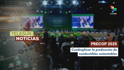 En Brasil, el distrito federal de Brasilia se llevó a cabo la última jornada de la PRE-COP