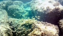 Snorkeling Summer 2023
