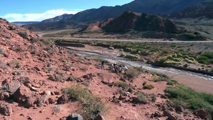 Dos sensacionales hallazgos iluminan el inicio de la era de los dinosaurios