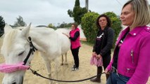 Équidoise : l’équithérapie au service des femmes touchées par le cancer dans la Loire