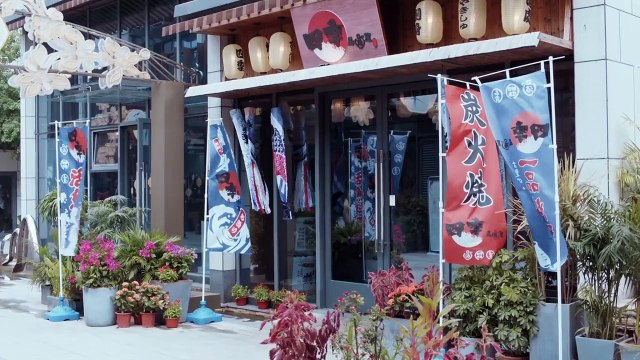 Người Tình Xa Lạ - Tập 29 - END _ Phim Ngôn Tình Trung Quốc_ Phim Tình Yêu, Tổng Tài, Đô Thị Hiện Đại