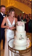 Girl Cutting Cake but Dog Suddenly Attacks the Cake 😂🎂 | Funny Dog Birthday Moment