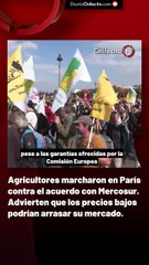 Agricultores marcharon en París contra el acuerdo con Mercosur. Advierten que los precios bajos podrían arrasar su mercado.