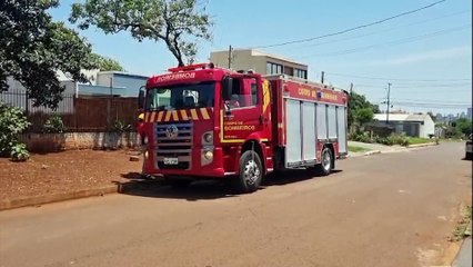 Moradora encontra cobra jararaca embaixo de carro no Cascavel Velho
