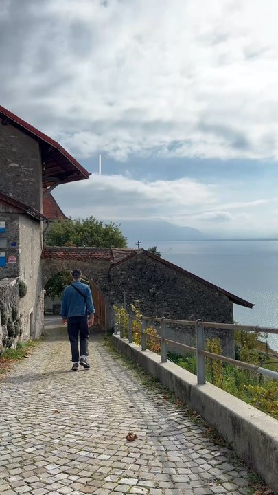 L’otaku en balade 🇨🇭 Les vignes de Lavaux 🍇
