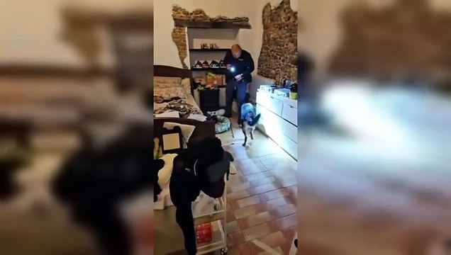 Image from field_mediaid