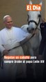 Regalan un caballo pura sangre árabe al papa León XIV