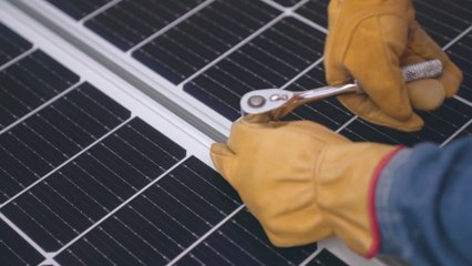 Lavoro, "green jobs" i più richiesti dalle imprese