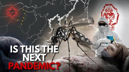 Covid-Style Lockdowns Return as Mosquito Virus Spreads