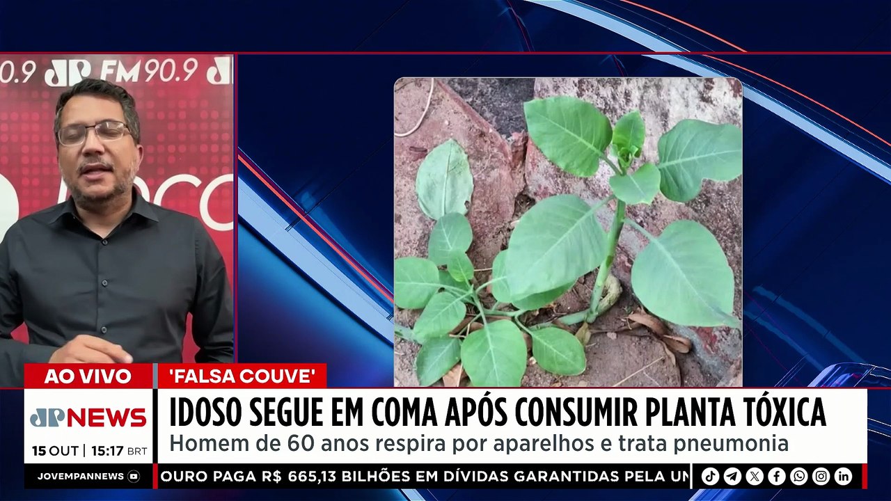 Idoso de 60 anos segue em coma após intoxicação por planta tóxica em Minas Gerais | TEMPO REAL