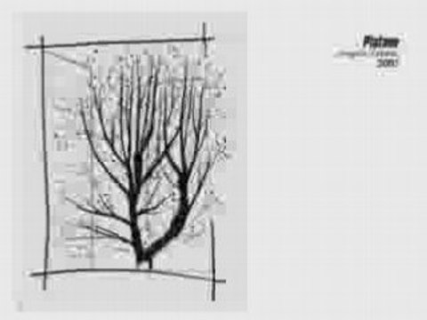 Mes dessins et mes croquis