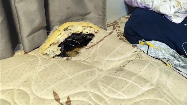 Colchão misterioso infla e solta gás fétido em residência na Região Norte; Bombeiros são acionados