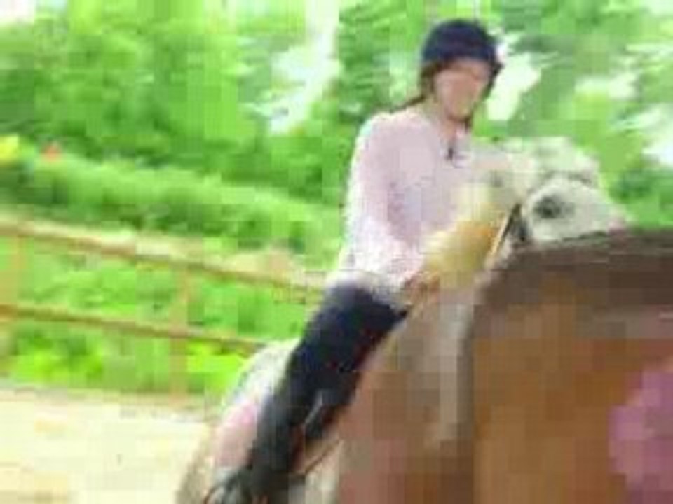 tous au galop