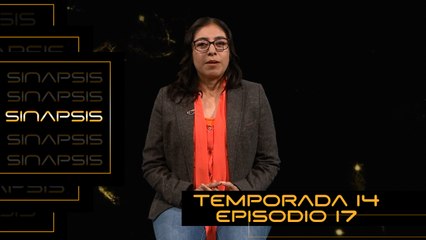 T14 Ep. 17 Sinapsis | Deterioro cognitivo durante el envejecimiento