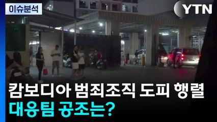 [뉴스나우] 캄보디아 범죄조직 '도피' 행렬...피해자 구조·처벌은? / YTN