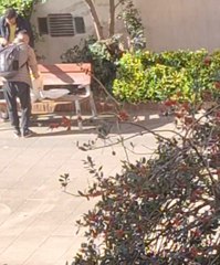 Denuncia vecinal en el parque de Muxike Aurrekoa: inquietud por comportamientos reiterados