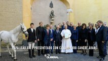 Papa Leão XIV é presenteado com cavalo puro-sangue árabe